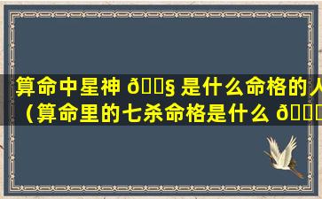 算命中星神 🐧 是什么命格的人（算命里的七杀命格是什么 🐎 意思）